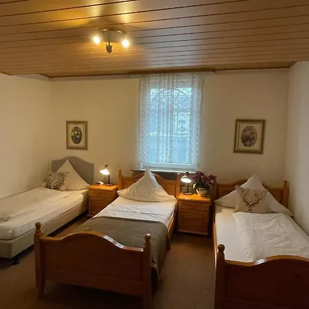 Alt-lennep
